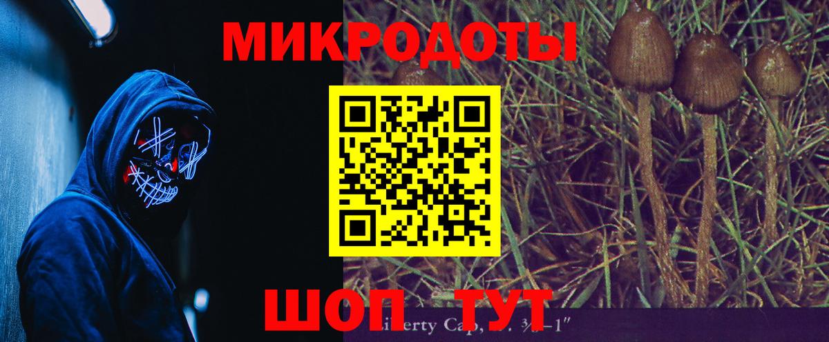 Псилоцибиновые грибы прущие грибы Полевской
